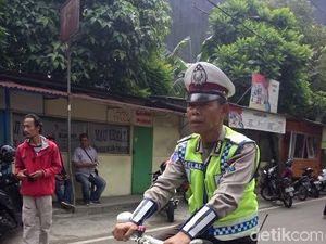 Fenomena Bripka Seladi yang Memukau Publik!