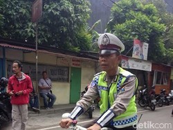 Fenomena Bripka Seladi yang Memukau Publik!