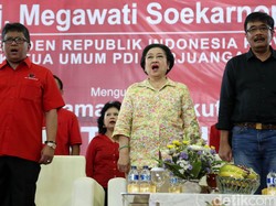 Ahok Tunggu Keputusan Mega, PDIP: Ngapain? Kan Sudah Didukung 3 Parpol