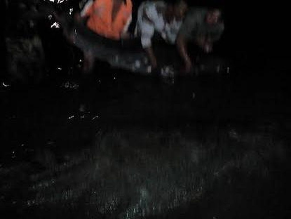 Seekor Lumba-lumba Terdampar di Pesisir Nambangan Surabaya