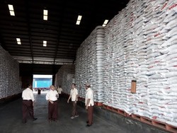 Penyerapan Gabah Petani di Jatim Lancar, Namun Kualitas Panen Tak Memuaskan