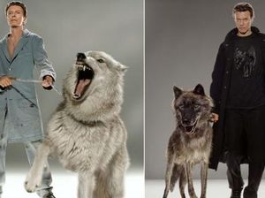 Puluhan Jepretan David Bowie Dipamerkan di Los Angeles