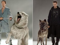 Puluhan Jepretan David Bowie Dipamerkan di Los Angeles