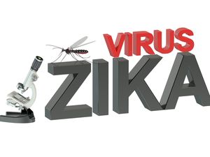 Riset Baru: 50 Persen Bayi yang Kena Zika Dilaporkan Epilepsi Riset Baru: 50 Persen Bayi yang Kena Zika Dilaporkan Epilepsi