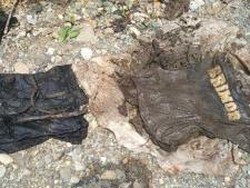 Kerangka Anggota Brimob Diduga Korban Tsunami Ditemukan di Aceh Jaya