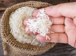 Negara Produsen Beras, Kok Bisa Harga di RI Lebih Mahal dari Luar Negeri?