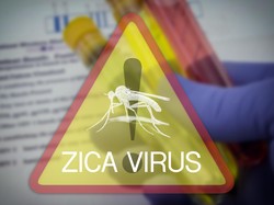 Pakar: Secara Teori, Bisa Saja Zika Mewabah di Indonesia