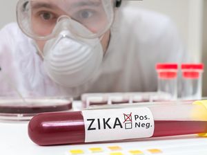 Dua Kasus Baru Virus Zika Kembali Muncul di Singapura Dua Kasus Baru Virus Zika Kembali Muncul di Singapura