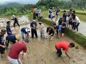 Kesan Istimewa Delegasi World Village Conference setelah Nyawah di Purwakarta