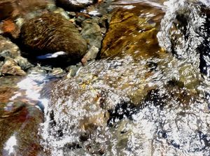Minyak Tumpah yang Cemari Sungai di Muba Dibersihkan, Kerugian masih Didata Minyak Tumpah yang Cemari Sungai di Muba Dibersihkan, Kerugian masih Didata