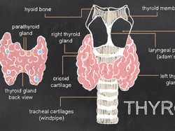 Ternyata Ini Asal Mula Ada Mitos Bola Mata Bisa Keluar karena Hipertiroid