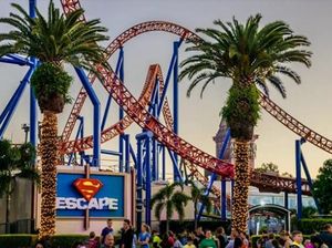 Dunia Film yang Serasa Jadi Nyata di Movie World Gold Coast