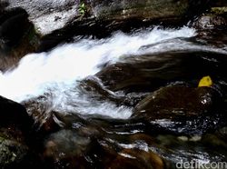 Hujan Terus-menerus, 3 Sungai di Sumsel Kini Berstatus Siaga 1