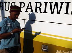 Paus Fransiskus ke Indonesia, Perusahaan Otobus Belum Kecipratan Cuan