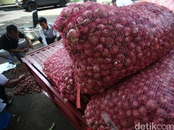 Keluhan Petani Bawang: Harga Bibit Selangit