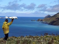 Hewan Perlu Dilindungi dari Dampak Penggunaan Drone