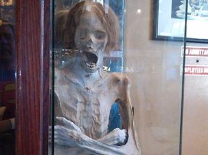 Toko Suvenir Paling Aneh, Simpan Mumi Sampai Duyung