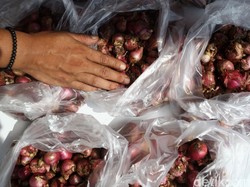 Jelang Lebaran, Harga Bawang Merah Masih Rp 38.000/Kg