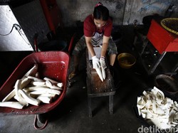 RI Impor Singkong dari Vietnam, Bisakah Disetop?