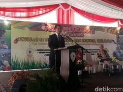 Curhatan Mentan Soal Pangan: Baru Harga Naik Sudah Ketakutan