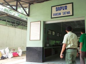 Mengintip Dapur Satwa, Gudang Makanannya Penghuni Taman Safari