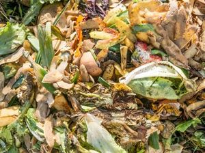 Setiap Hari Malaysia Buang 15.000 Ton Limbah Makanan