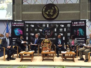 Menteri LHK Ajak Internasional Perangi Perdagangan Satwa Ilegal via Medsos