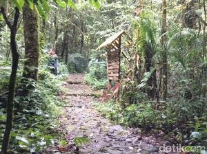 Cuaca Ekstrem, Pengelola Pangrango Tutup Aktivitas Pendakian