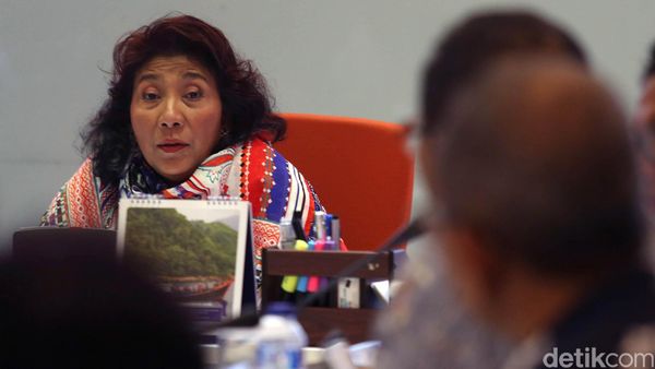KKP Selamatkan 2 Hiu Paus di Maluku
