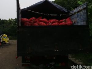 1.240 Ton Bawang Merah Masih di Gudang, Ini Penjelasan Bulog