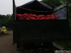 1.240 Ton Bawang Merah Masih di Gudang, Ini Penjelasan Bulog