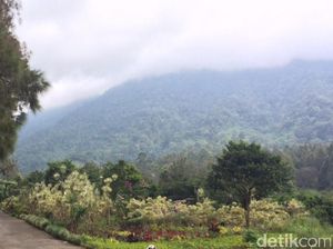 Dear Pendaki, Jangan Rusak Indahnya Pemandangan Gede Pangrango ini