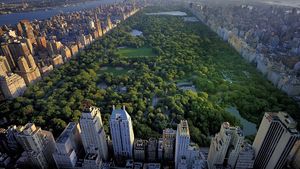 Potret Central Park, Taman Raksasa di Jantung New York