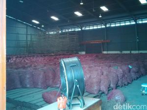 1.200 Ton Bawang Merah Bima Dikirim ke Jakarta, Ini Kata Pedagang