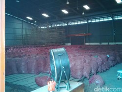 1.200 Ton Bawang Merah Bima Dikirim ke Jakarta, Ini Kata Pedagang