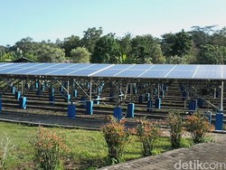 PLN Teken 2 Kontrak Jual-Beli Listrik Energi Surya di NTT