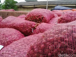 Harga Bawang Kembali Turun ke Level Terendah Rp 2.000/Kg