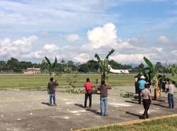 Taxi Way Bandara Sentani Dipalang Pohon Pisang, Penerbangan Sempat Terganggu