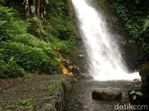 Kelola 2 Taman Nasional di Sukabumi, Pemerintah Perlu Lakukan Ini