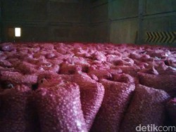 Tekan Harga, 60.000 Ton Bawang Putih Impor Banjiri RI