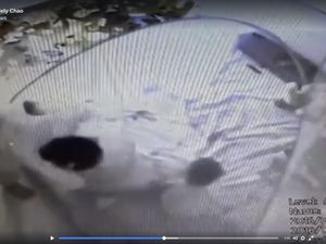 Babysitter yang Kasari Balita di Grogol Langsung Dipulangkan ke Lampung