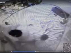 Ramai Soal Perlakuan Kasar Babysitter ke Balita di Grogol, Pihak Penyalur Minta Maaf