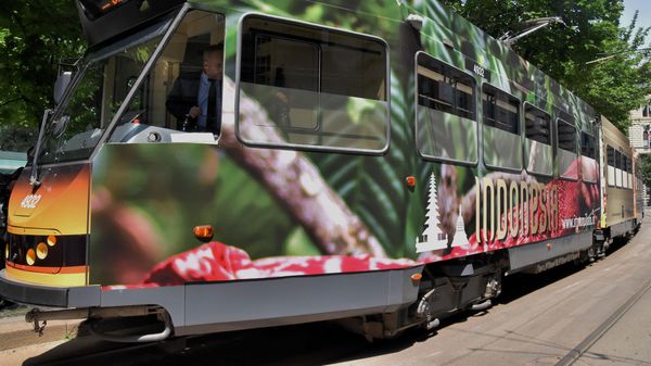 Promosi Kopi Indonesia di Italia