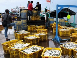 Kemenko Maritim Siap Operasikan Cold Storage 100 Ton di Yogya, Listrik Aman