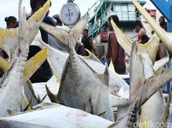 Target Investasi di Sektor Perikanan Rp 5,9 T Tahun Ini