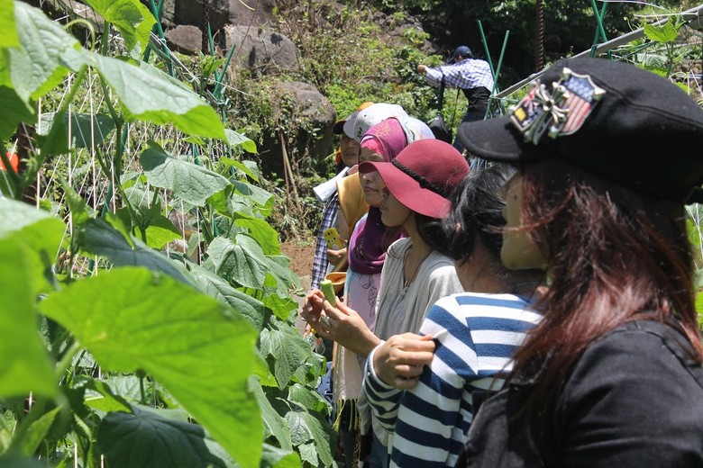 Ketika TKI di Taiwan Belajar Bertani Organik