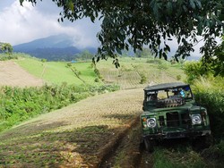 KEIN Usul Pengembangan 4 Sektor Industri RI