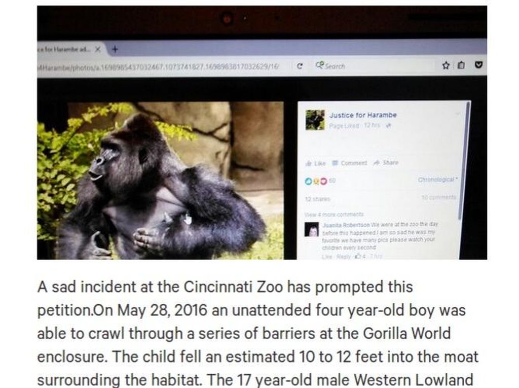 Kasus Gorila Ditembak Mati di AS, Ibu Ini Minta Publik Tak Hakimi Dirinya