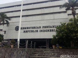 Kementan Butuh Investor untuk Garap Padi dan Jagung di Kaltara