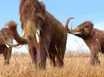 Proyek Mammoth Park